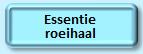 Essentie roeihaal