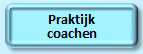 Praktijk coaching I